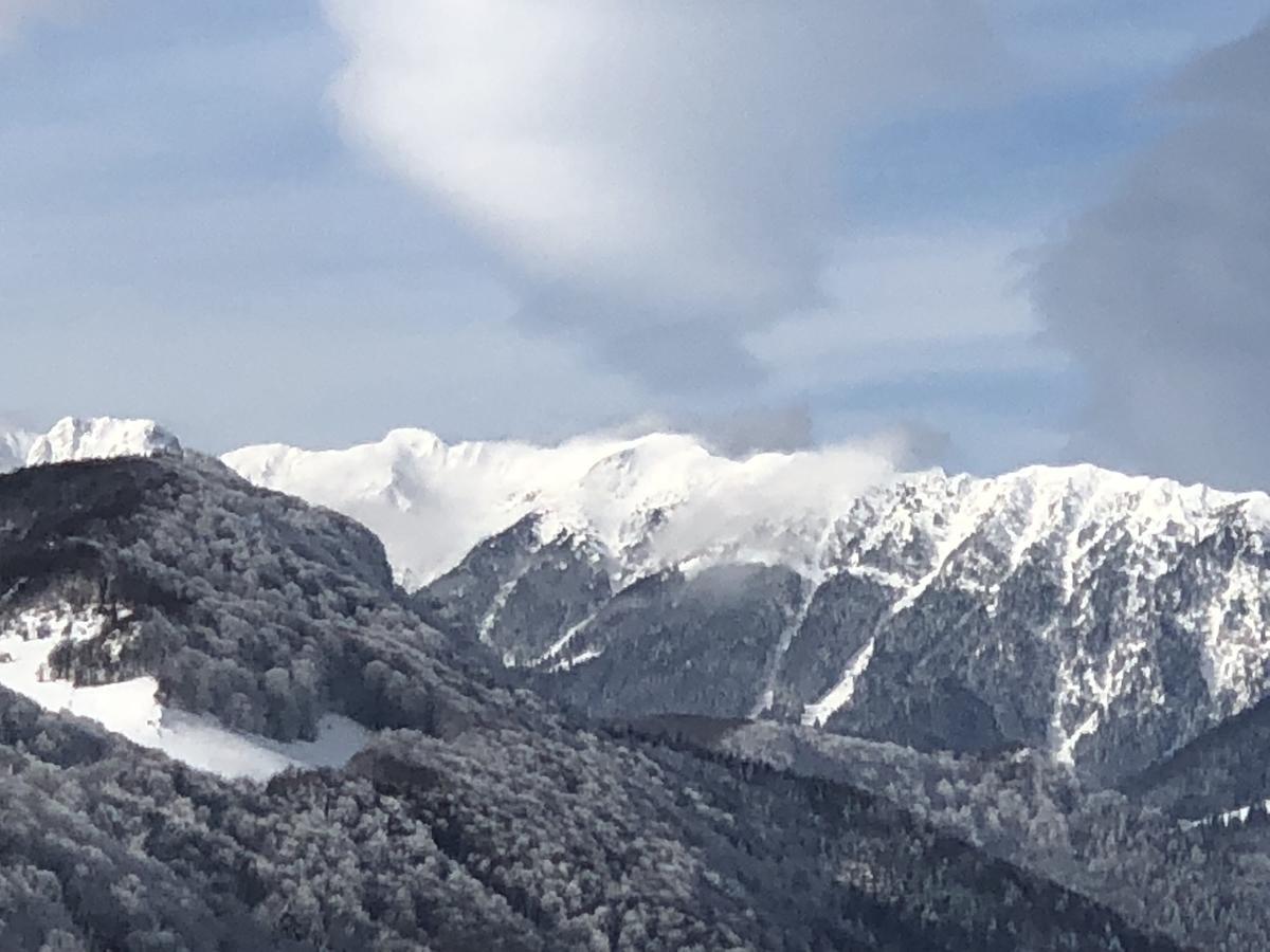 Bran Monte Crai Chalet Luaran gambar